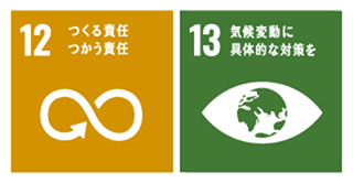 SDGs12 13